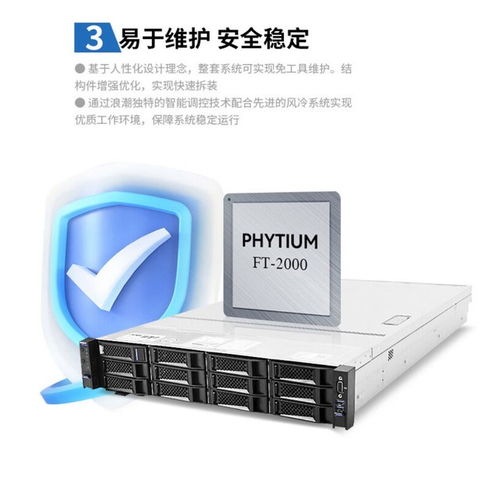 浪潮nf2180m3 ft2000 64g 6t 服务器成都46999元